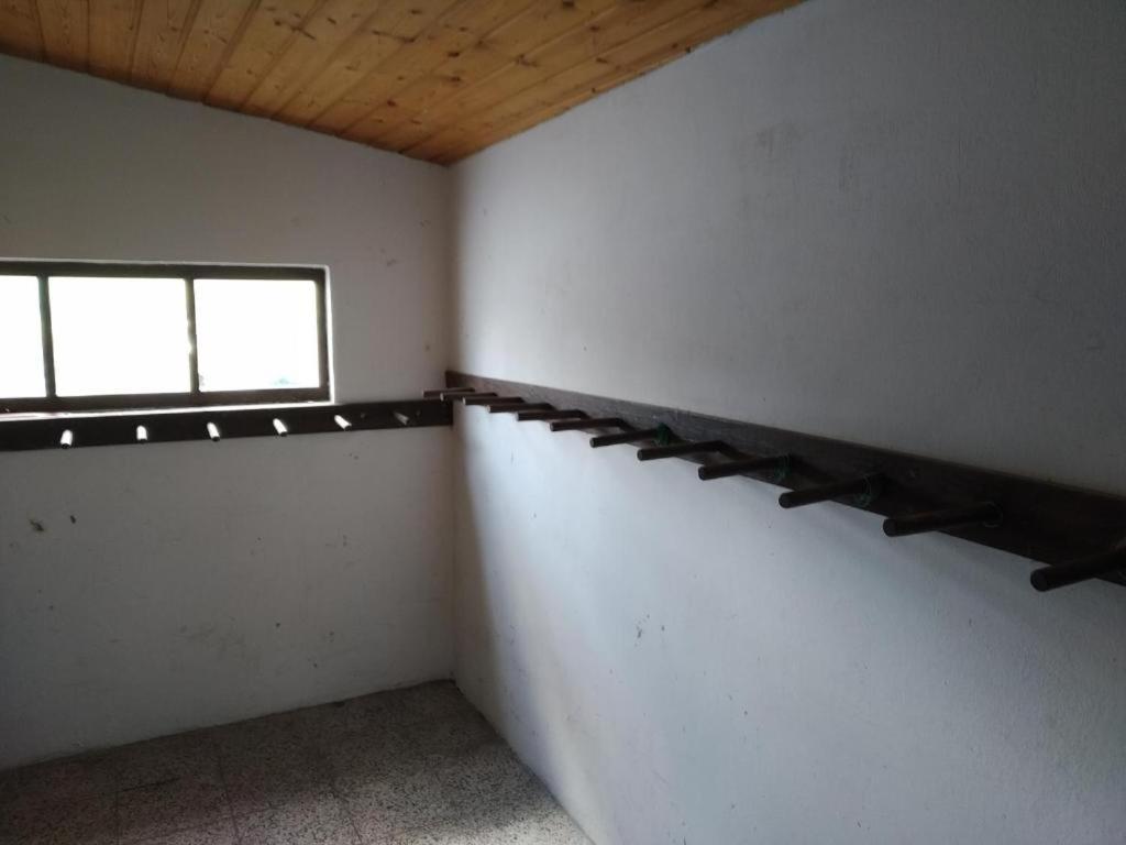 Apartmany Dolni Rokytnice Nad Jizerou Cp 37 Exteriör bild
